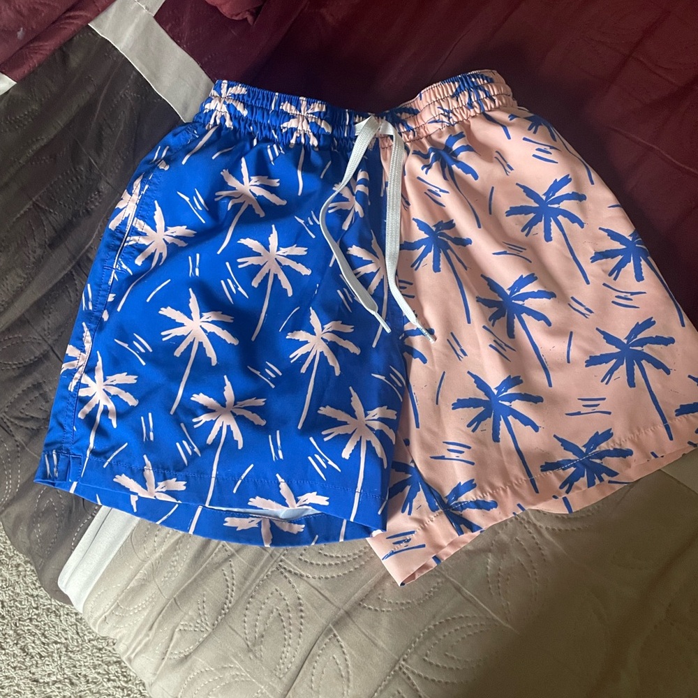Chubbies Blue and Pink Patterned Swim Shorts size Men’s Small